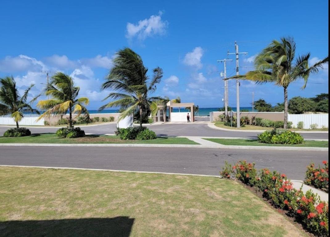 Paradise Oasis At Oceanpointe - Pool And Free Parking Lucea Eksteriør billede